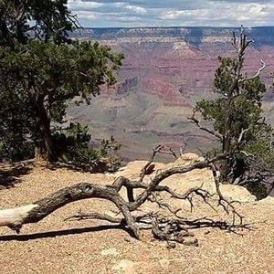 Meet your Posher, Terry